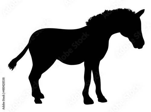 zebra animal silhouette vector