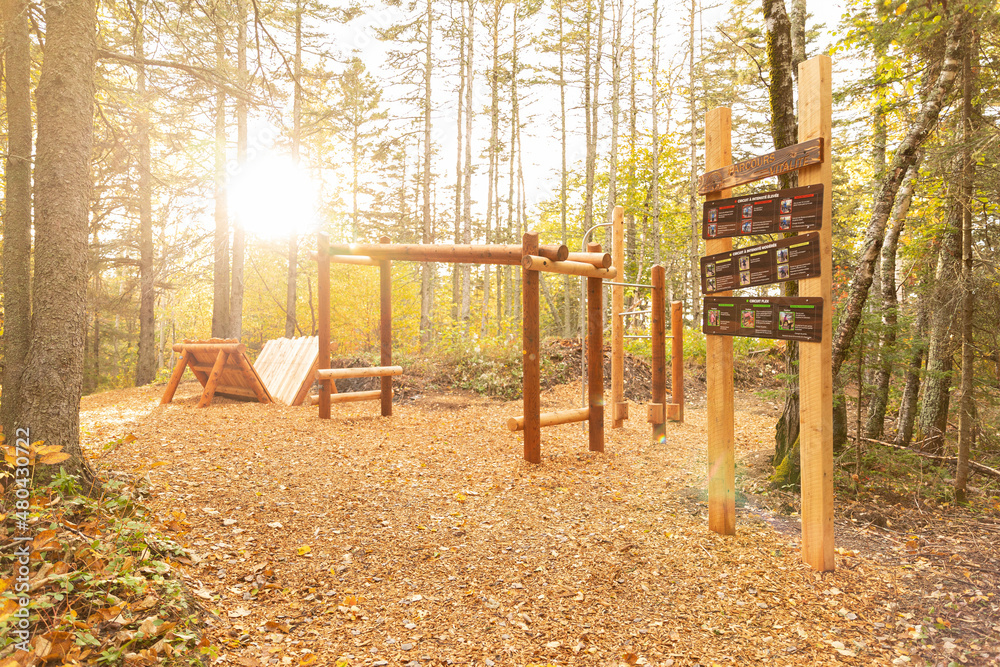 Fototapeta premium playground in autumn park