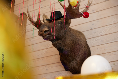 stuffed moose head decorated for the new year