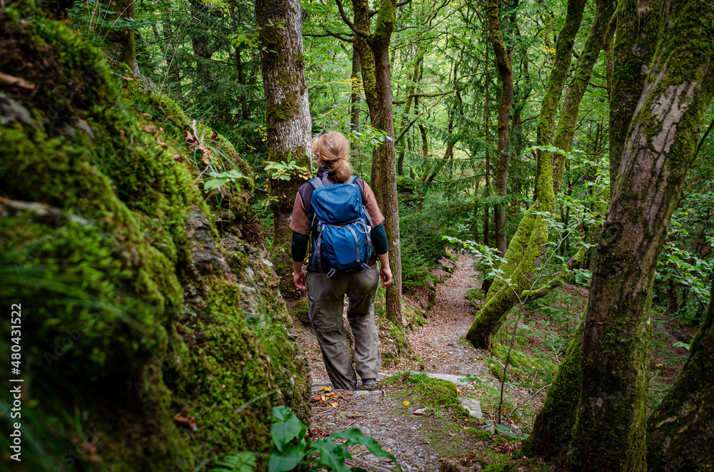 Wandern auf einem Singletrail im Wispertal im Taunus Wandern auf einem Singletrail im Wispertal im Taunus