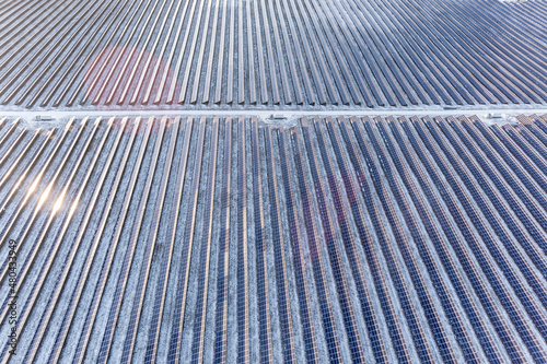 A large number of photovoltaic solar panels installed in a row on the field to generate green electricity at sunset. Renewable energy production concept. Photo from a drone from a bird's eye view