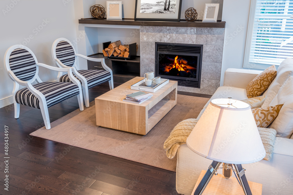 Obraz premium Interior design of a luxury living room