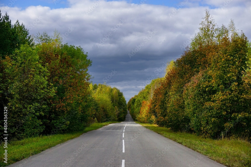 an asphalt empty road between dense green trees in the forest, the sky with clouds, the beginning of autumn