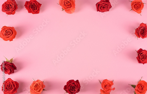 Frame of red and orange roses on a pink background. Place for text.
