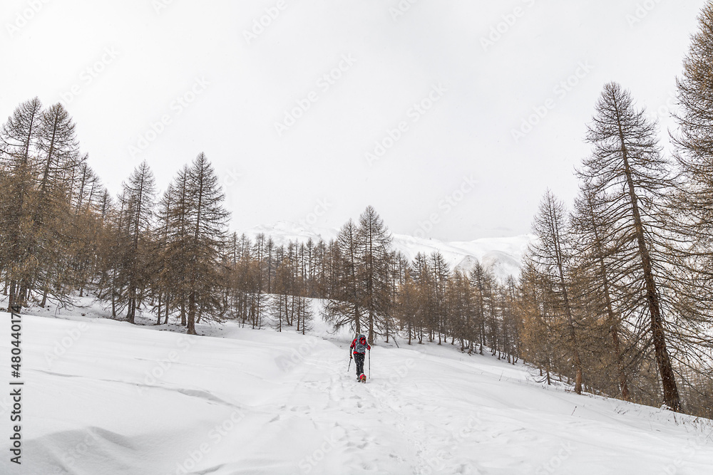 
Il piccolo borgo di Ferrere, raggiungibile soltanto a piedi durante la stagione invernale. Valle Stura - Provincia di Cuneo- Piemonte
