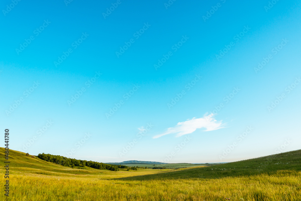 Plain, yellow field and hills, beautiful scenery.