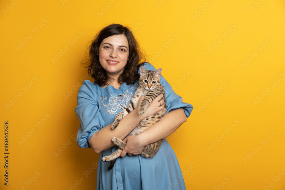 a woman with a cat on a yellow background. A girl in a blue dress holds a gray kitten in her arms a woman with a cat on a yellow background. A girl in a blue dress holds a gray kitten in her arms
