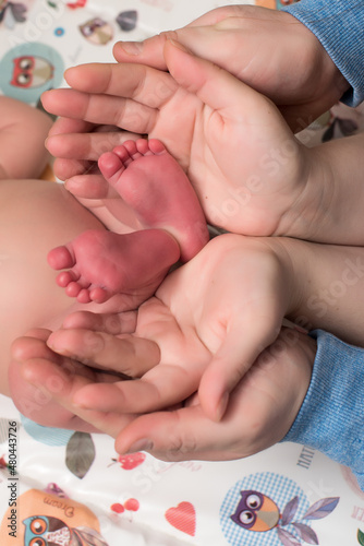 hands of a newborn baby in the palms of mom and dad