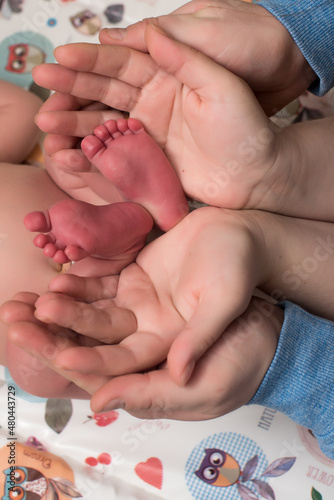 hands of a newborn baby in the palms of mom and dad