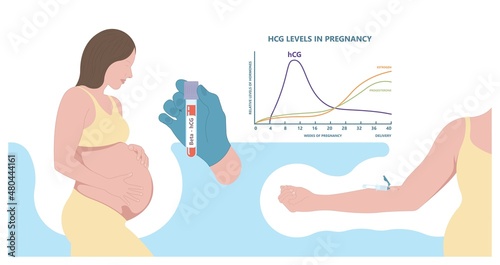 Beta hCG levels blood test at home period of days false result weeks cycle twins missed miscarry lab past In vitro fertilisation IVF sperm baby check egg line molar loss serum care menstruation birth