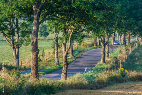 Fototapeta Naklejka Na Ścianę i Meble -  View of the Masurian road.