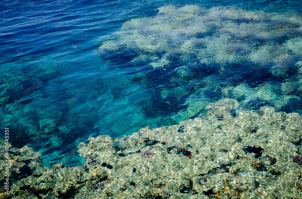 ocean, open sea, corals,   blue, clean, transparent, sun, reflection

