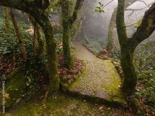 Sintra Garden in cloud. Portugal 2021