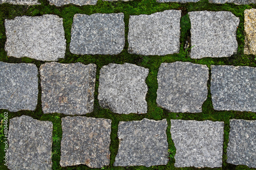 paving slabs on the background of a green lawn