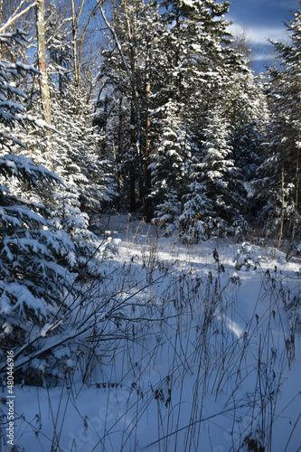 Mont Ham 2 Au 8 Janvier 2022