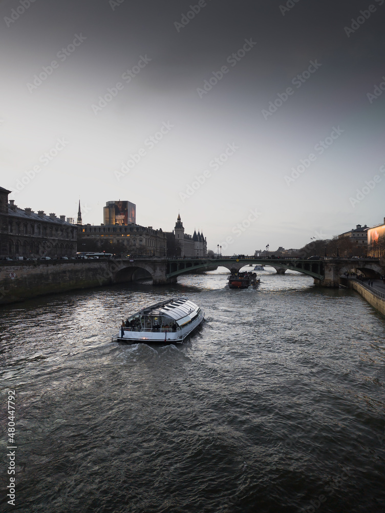 Naklejka premium La seine Paris