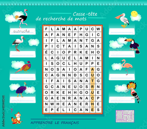 LEARN FRENCH. Word search puzzle. Logic game with birds for study French. Find the words and write the letters. Printable worksheet for kids school textbook. Page for brain teaser book.