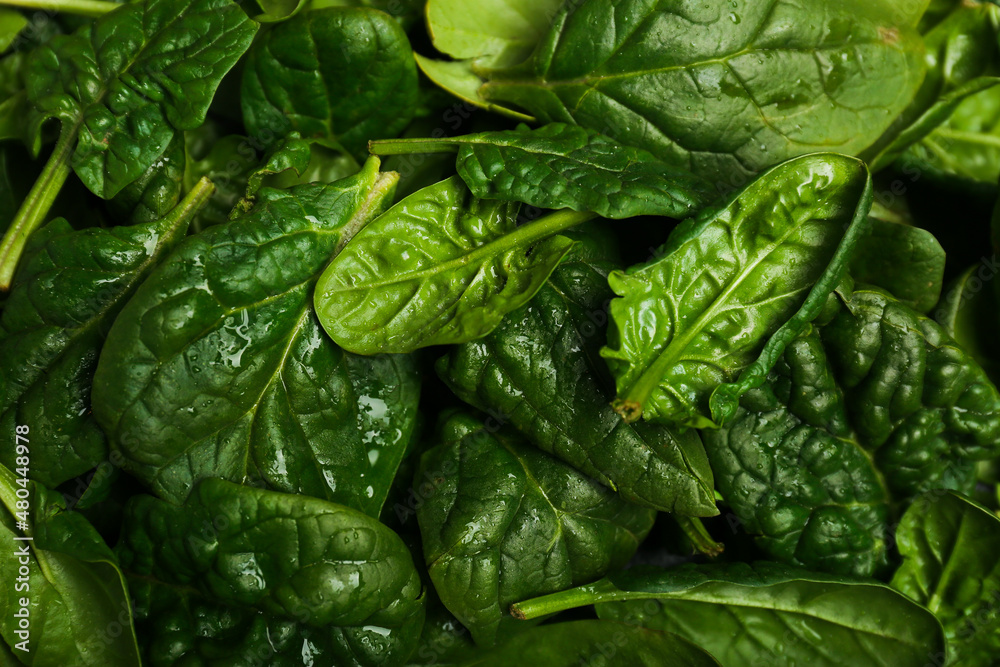 Organic food concept with spinach leaves closeup top view Organic food concept with spinach leaves closeup top view