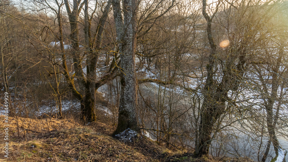 Naklejka premium A Small River In A Winter Landscape. Winter Landscape with Small River, trees and first snow. Nature concepts.