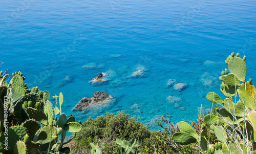 Mare nel verde
