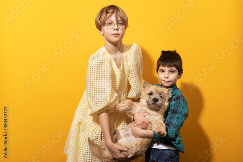 Brother and sister with pets. cairn terrier with owners on a yellow background.