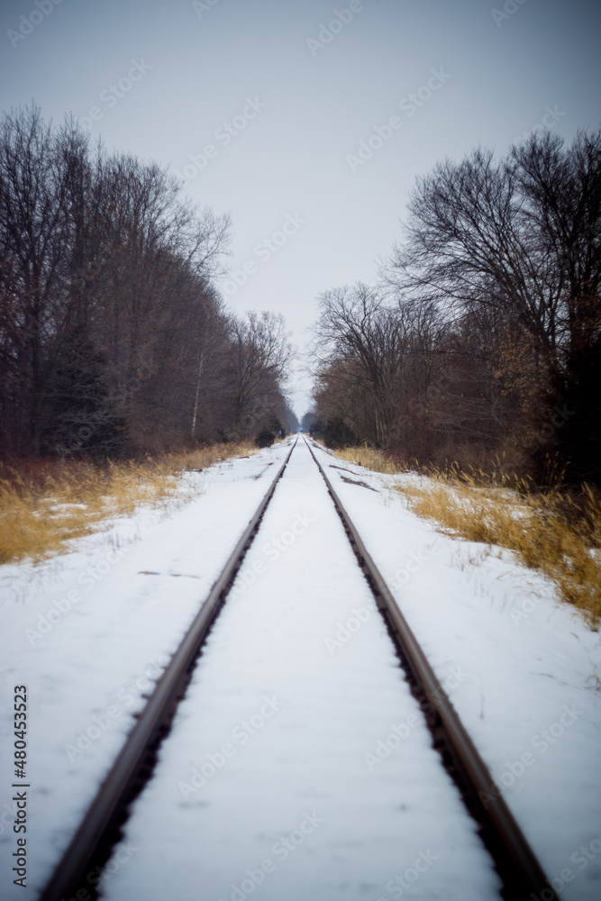 Railroad Tracks in Winter Railroad Tracks in Winter