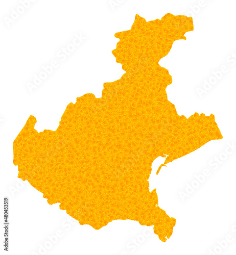 Vector Golden map of Veneto region. Map of Veneto region is isolated on a white background. Golden items pattern based on solid yellow map of Veneto region.