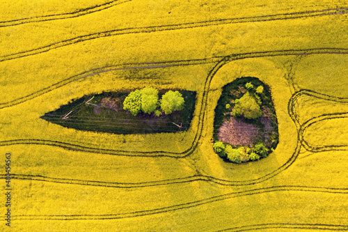 Fototapeta Naklejka Na Ścianę i Meble -  Islands of trees