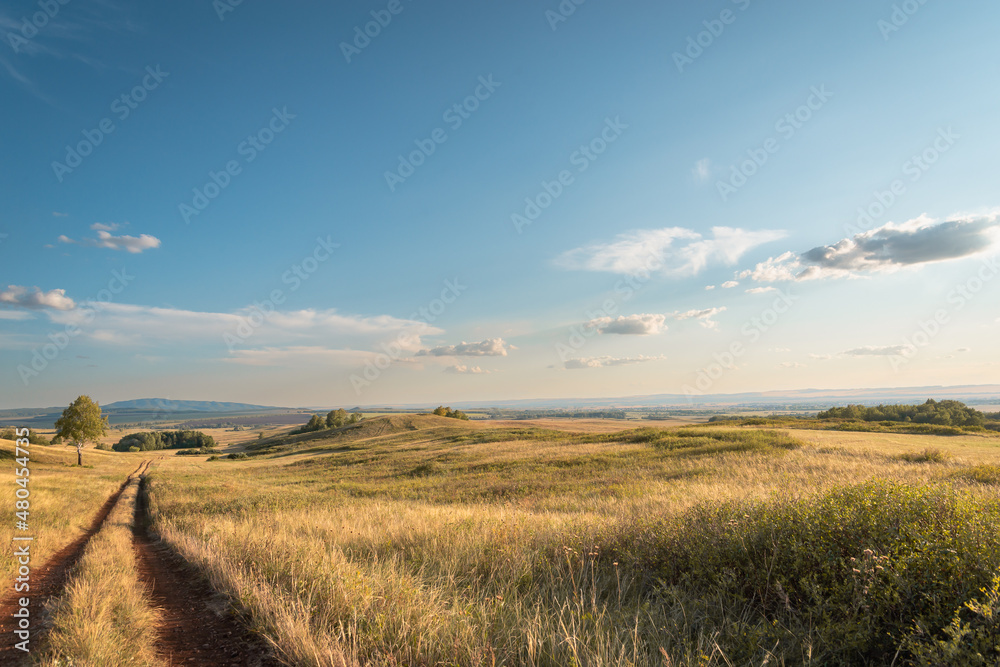 Road through yellow, dry grass and hills. Wonderful landscape with a field and a blue sky with clouds.