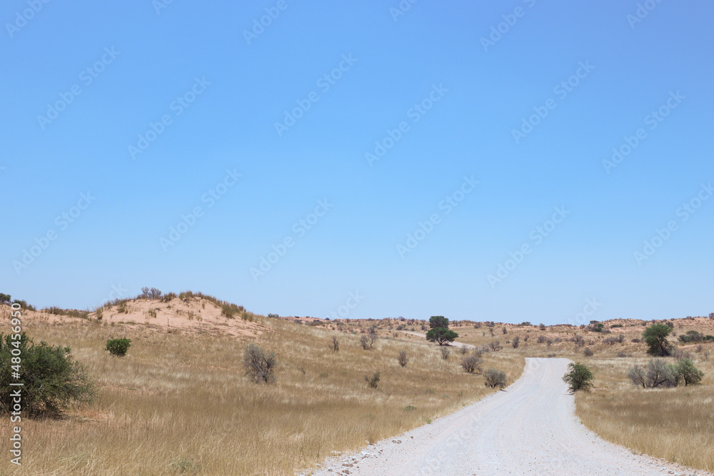 Dirt road in the Kgalagadi