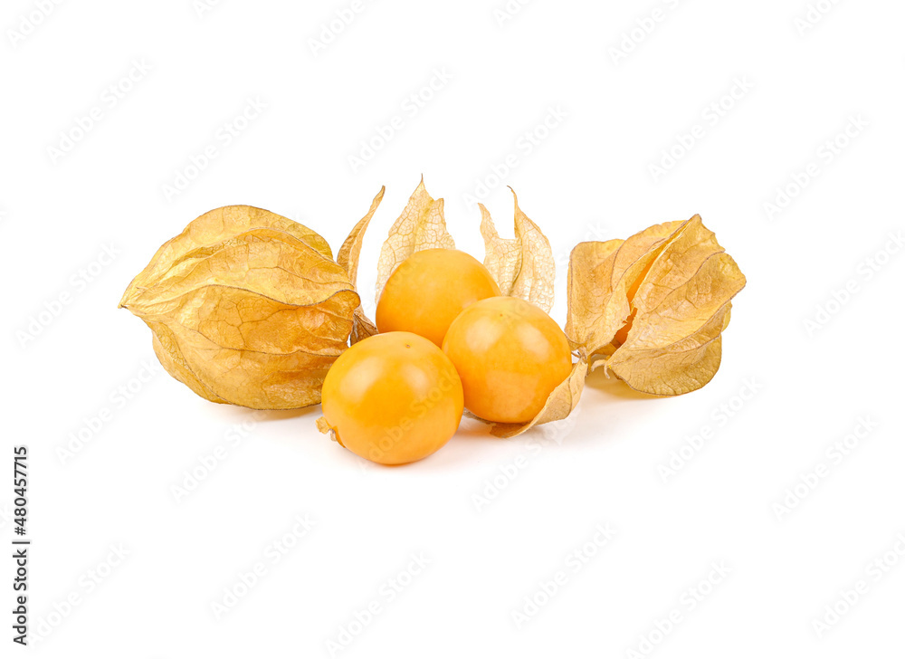 cape gooseberries isolated on a white backgroud cape gooseberries isolated on a white backgroud
