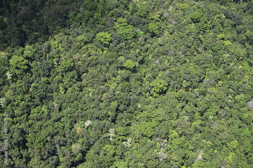 Luftaufnahme über Regenwald