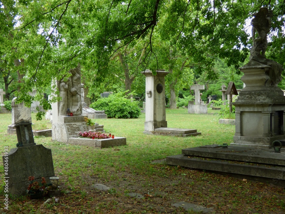 cemetery at the cemetery