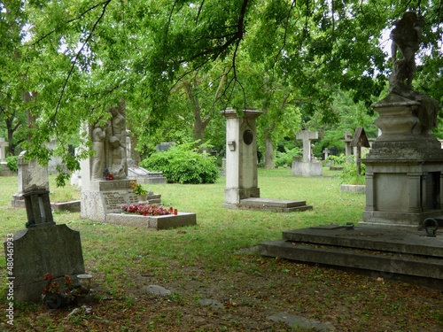 cemetery at the cemetery