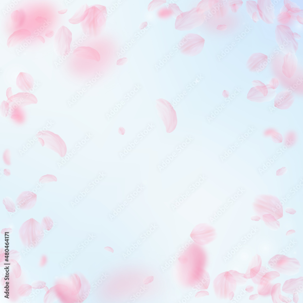 Sakura petals falling down. Romantic pink flowers vignette. Flying petals on blue sky square background. Love, romance concept. Enchanting wedding invitation.