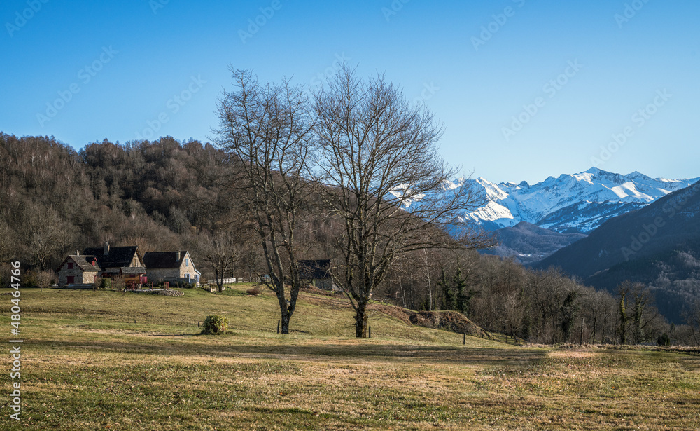 Fototapeta premium Winter landscape of southwestern France with the Pyrenees mountains in the background