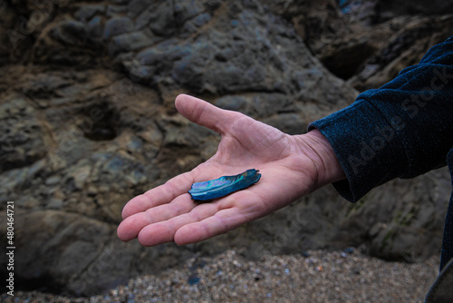 Glass Beach in Fort Braggs California