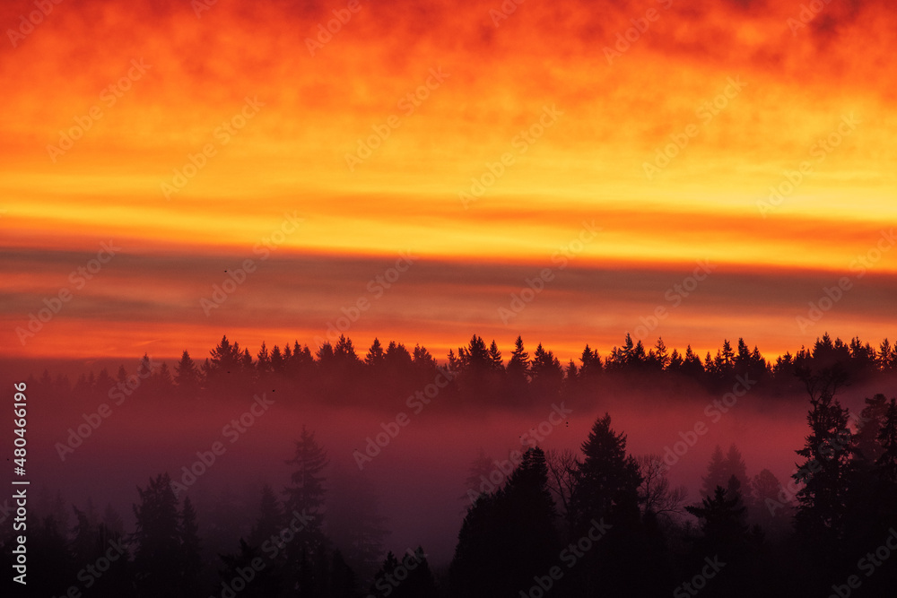 Sunrise over Lake Washington results in a colorful sky and reflection on the water, with foggy forest in the foreground