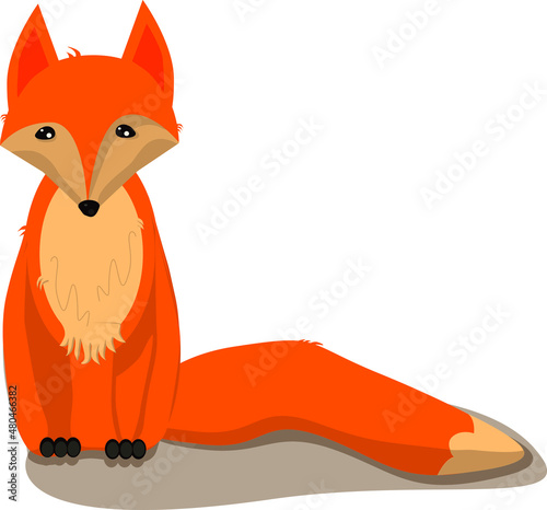 Red fox sits with his head bowed