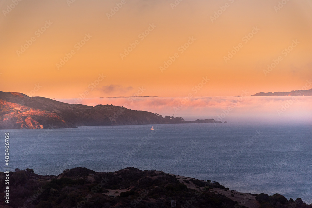 Sailboats Sailing at Sunset in San Francisco California