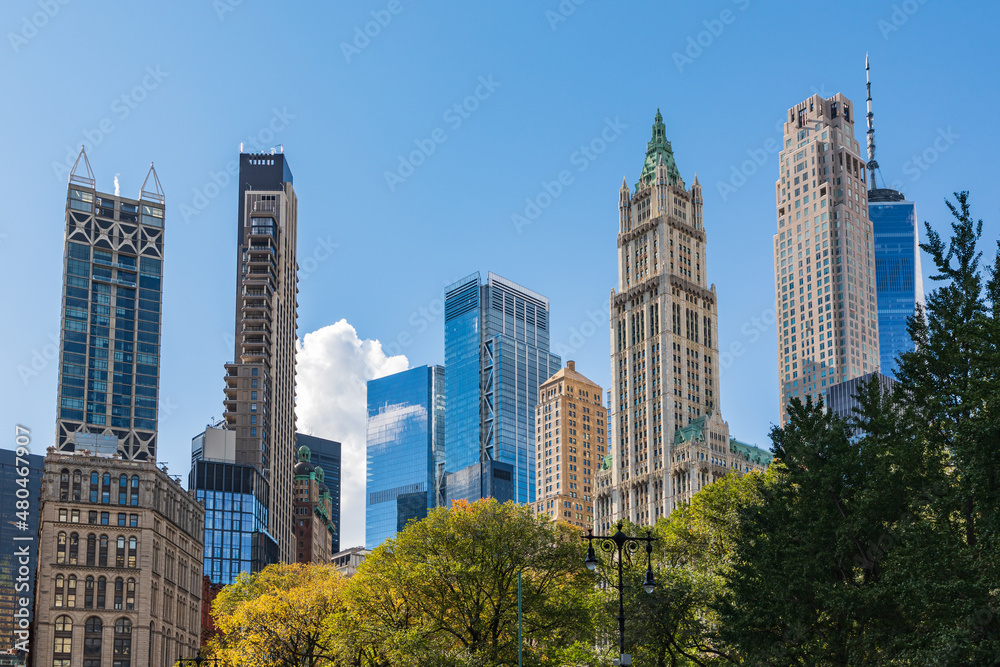 The Woolworth Building and other skyscrapers of Lower Manhattan. The Woolworth Building and other skyscrapers of Lower Manhattan.
