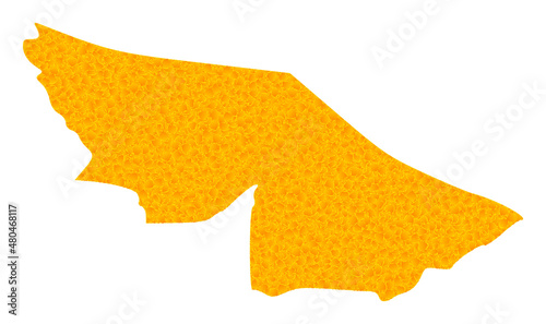 Vector Golden map of Acre State. Map of Acre State is isolated on a white background. Golden particles texture based on solid yellow map of Acre State.
