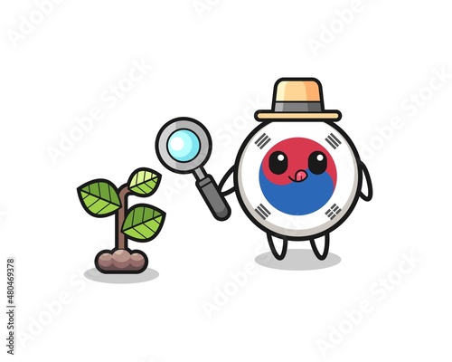 cute south korea flag herbalist researching a plants