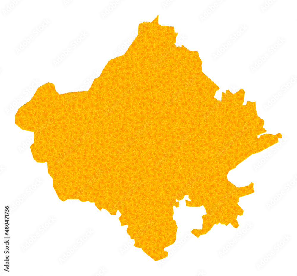 Metallic Rajasthan Map Vector Gold map of Rajasthan State. Map of Rajasthan State is isolated ...