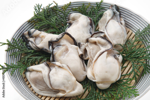 Obraz na płótnie 生牡蠣 白バック 