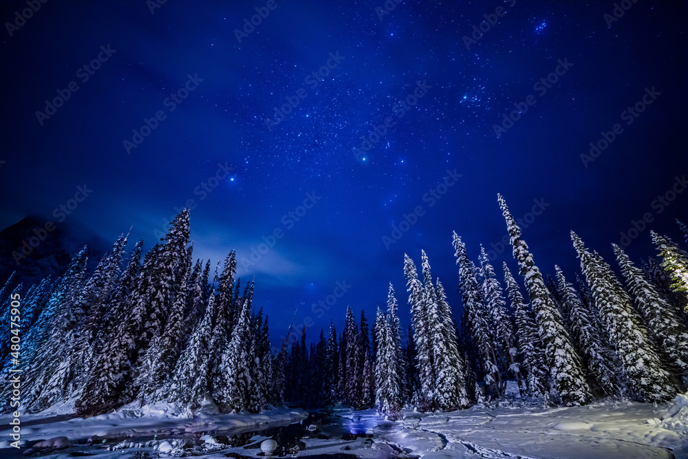 Night Sky in Winter Scene