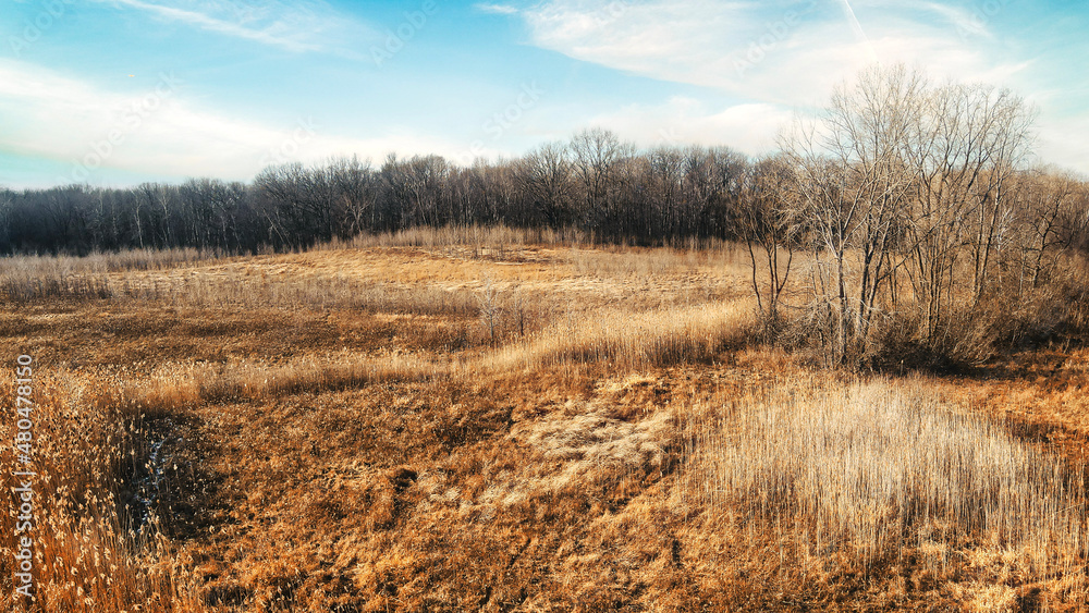Fototapeta premium Beautiful meadow with bright blue sky