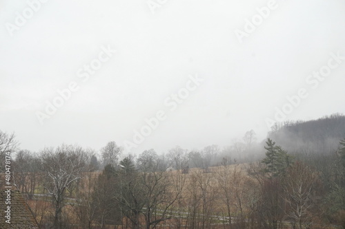 Fog Descending on a Wooded Valley in Winter