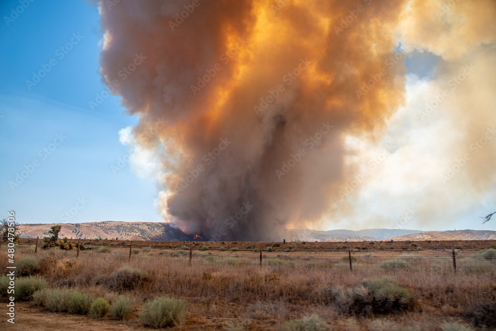 Wildfire in the California Wilderness