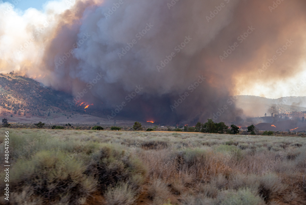 Wildfire in the California Wilderness